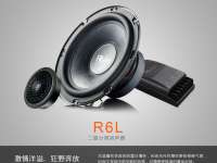 雷贝琴R6L